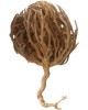 Meryem ana otu büyük boy 1 adet