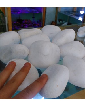 dolomit taşı büyük boy 1 adet 300-600 gr