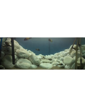 Dolomit taşı büyük boy beş adet (300-500gr) x 5