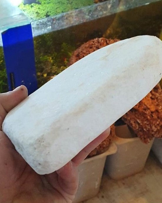 beyaz kalsit taşı 12-17 cm uzunluğunda 1 adet